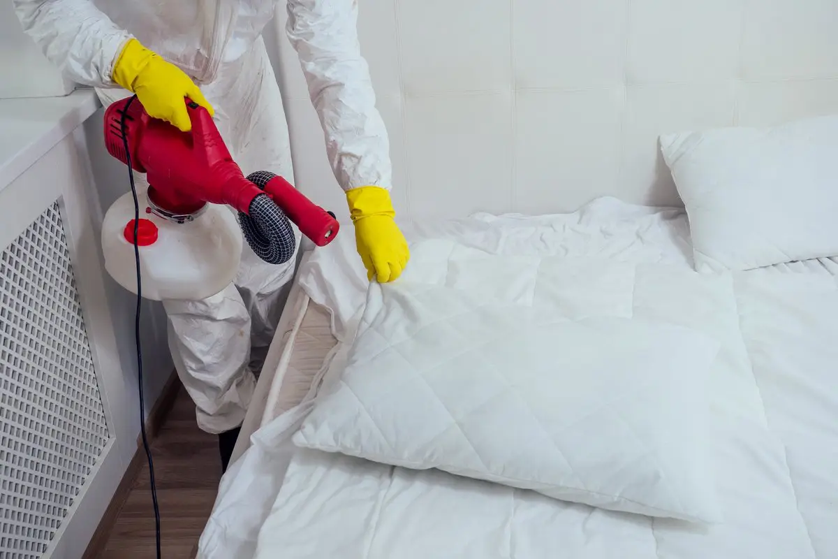 Bed bug pest control and extermination